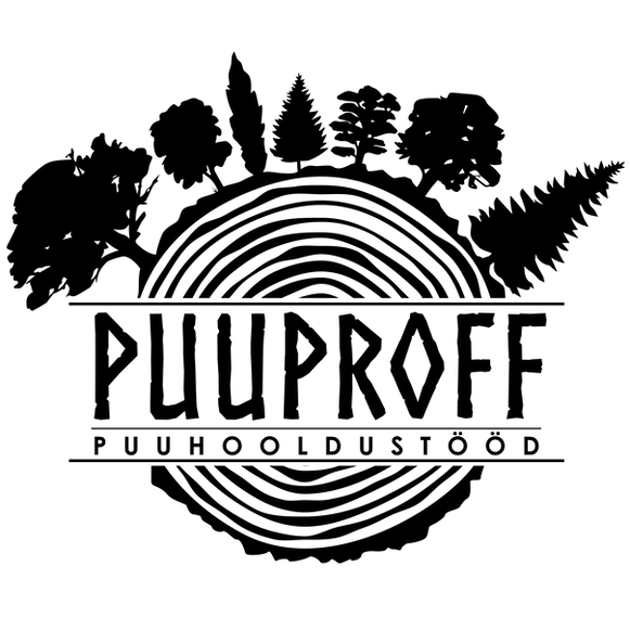 Heigo Mikkor 